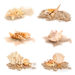 Different seashells with starfishes and coral on white background