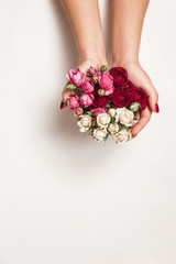 flowers roses in hands of girl, top view, little white pink red roses white background