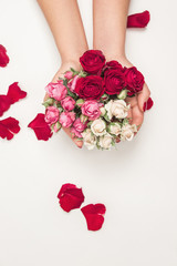 flowers roses in hands of girl, top view, little white pink red roses, red rose petals, white background