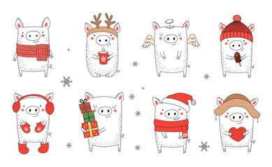 Collection of cute winter pigs. New 2019 year.