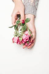 flowers roses in hands of girl, top view, top view, little pink roses on white background