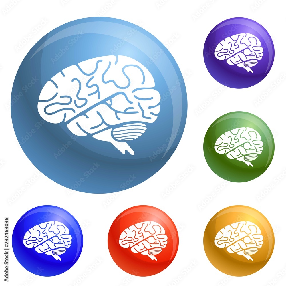 Poster brain icons set vector 6 color isolated on white background