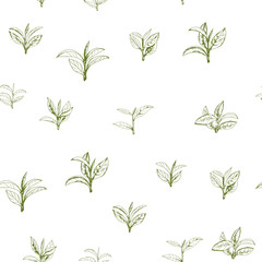 seamless pattern with green tea, hand-drawn leaves and branches of tea - 232463041