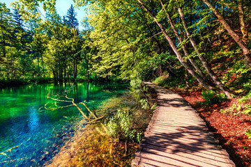Sunny morning in Plitvice National Park. Colorful spring scene of green forest with pure water lake. Great countryside view of Croatia, Europe. Traveling concept background.