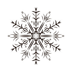 Vector illustration of a snowflake isolated on white