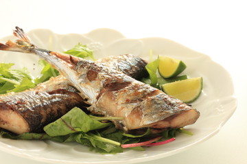 Freshness Sudachi fruit and grilled pacific saury