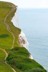 Kreidefelsen von Dover/ White cliffs of Dover, Wanderwege, England, Ärmelkanal, Großbritannien,...