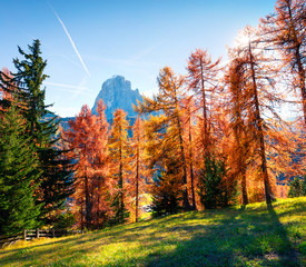 Sunny autumn view of Ambrizola mountain. Colorful morning scene of Dolomite Alps, Cortina d'Ampezzo lacattion, Italy, Europe. Beauty of countryside concept background.