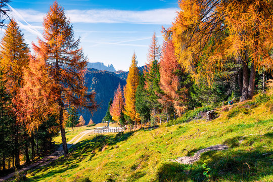 Bright autumn view of Dolomite Alps. Colorful morning scene of countryside of Italy, Europe. Traveling concept background.
