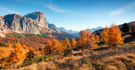 Splendid panorama from top of Falzarego pass with Lagazuoi mountain range. Colorful autumn morning in Dolomite Alps, Cortina d'Ampezzo lacattion, Italy, Europe. Beauty of nature concept background.