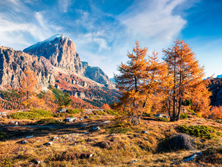 Fototapeta na wymiar Incredible view from top of Falzarego pass with Lagazuoi mountain range. Colorful autumn morning in Dolomite Alps, Cortina d'Ampezzo lacattion, Italy, Europe. Beauty of nature concept background.