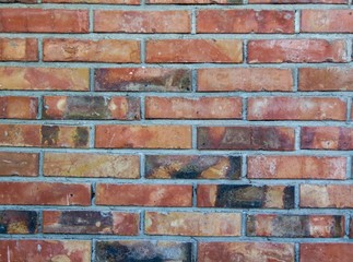 Fototapeta premium Old Brick Wall
