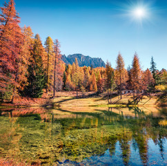 Bright morning view of Scin lake with yellow larch trees. Colorful sunny scene of Dolomite Alps, Cortina d'Ampezzo location, Italy, Europe. Beauty of countryside concept background.