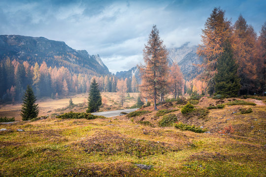 Foggy morning scene in National Park Tre Cime di Lavaredo. Colorful autumn landscape in Dolomite Alps, South Tyrol, Location Auronzo, Italy, Europe. Beauty of nature concept background.