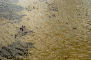 Watter dettail on a windy day