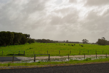 Landscape of Perth surroundings outback green nature cloudy day