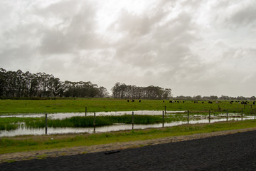 Landscape of Perth surroundings outback green nature cloudy day