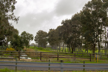 Obraz premium Landscape of Perth surroundings outback green nature cloudy day