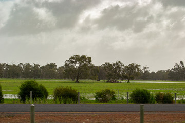 Obraz premium Landscape of Perth surroundings outback green nature cloudy day
