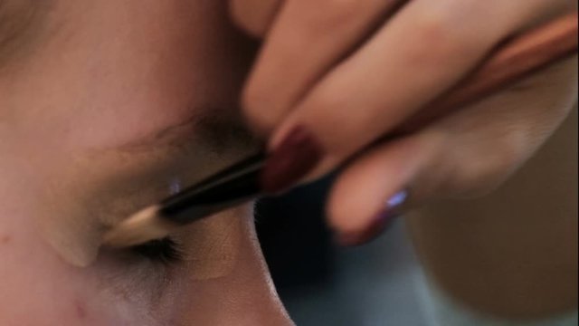 Close-up of a girl's eyes. Professional makeup artist works with a brush.