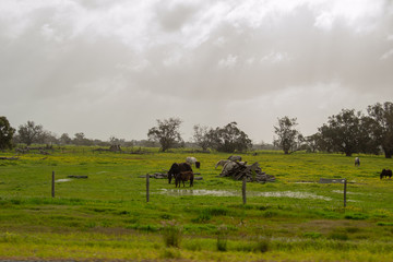 Landscape of Perth surroundings outback green nature cloudy day