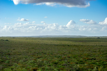 Green landscape of Perth outback