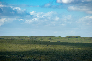 Obraz premium Green landscape of Perth outback