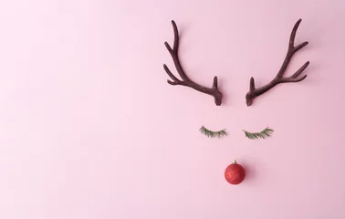 Foto op Plexiglas Christmas reindeer concept made of evergreen fir, red bauble decoration and antlers on pastel pink background. Minimal winter holidays idea. Flat lay top view composition. © Zamurovic Brothers