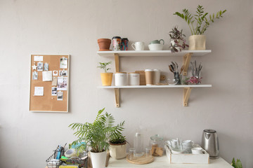 Plants and kitchenware in kitchen