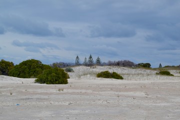 The Sand Dunes - Western Australia landscape on the beach