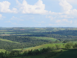 Obraz premium Landscape