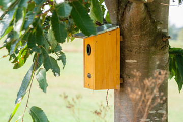 handmade nesting box for birds. Bird feeder attached to a tree