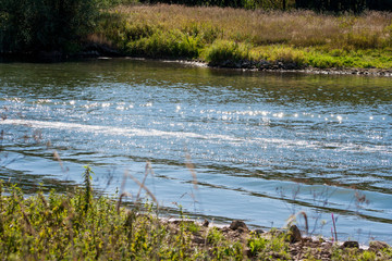 Fototapeta na wymiar Waves on the river after passing the motor boat. Upset water on a sunny day