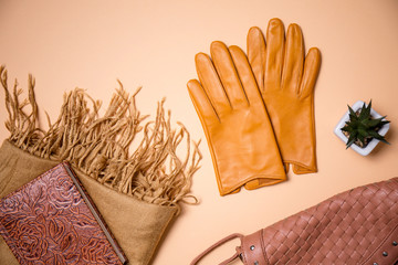 Collection of autumn items