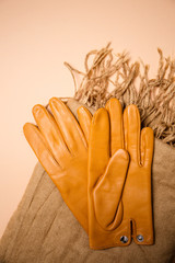 Collection of autumn items