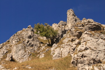 Schroffe Felsen am Monte Grona (Luganer Alpen)