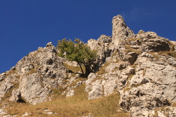 Schroffe Felsen am Monte Grona (Luganer Alpen)