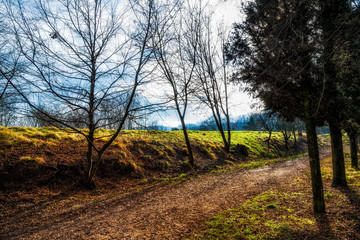 Fototapeta premium Paesaggio collinare invernale 