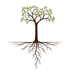 Fototapeta premium Color Tree and Roots. Vector Illustration.