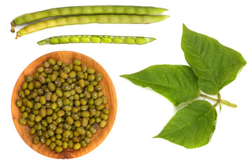 Peas mung beans in a wooden cup and in pods isolated on white