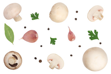 Mushrooms isolated on white background. top view. Flat lay