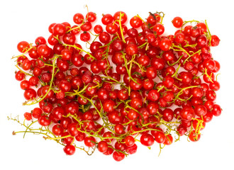 Red currant isolated on white. The view from the top