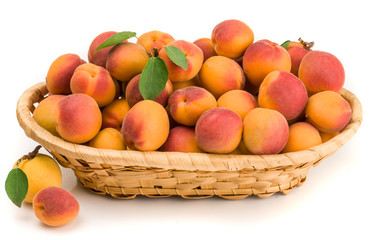 Apricots in a basket isolated on white
