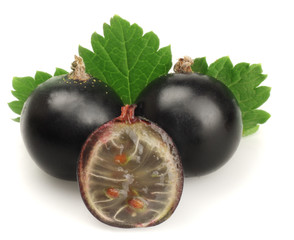 Black currant isolated on white. Macro
