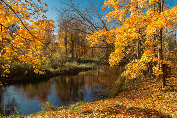 Autumn, river and trees