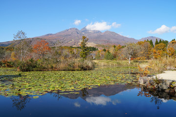 秋のいもり池