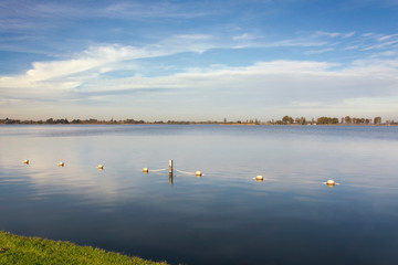 View on the Loosdrechtse plassen, the Netherlands. An area with several connected beautiful lakes,  Ideal for boating, swimming, aquatics, relaxing and enjoying a waterrich environment