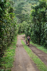 Fototapeta premium road up Mombacho, Nicaragua 