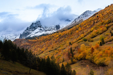 colores del atoño