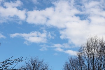 風景　冬の空　茨城　